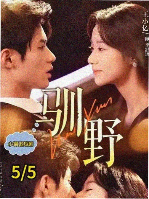 职场剧玻璃办公室全集 BT种子封面